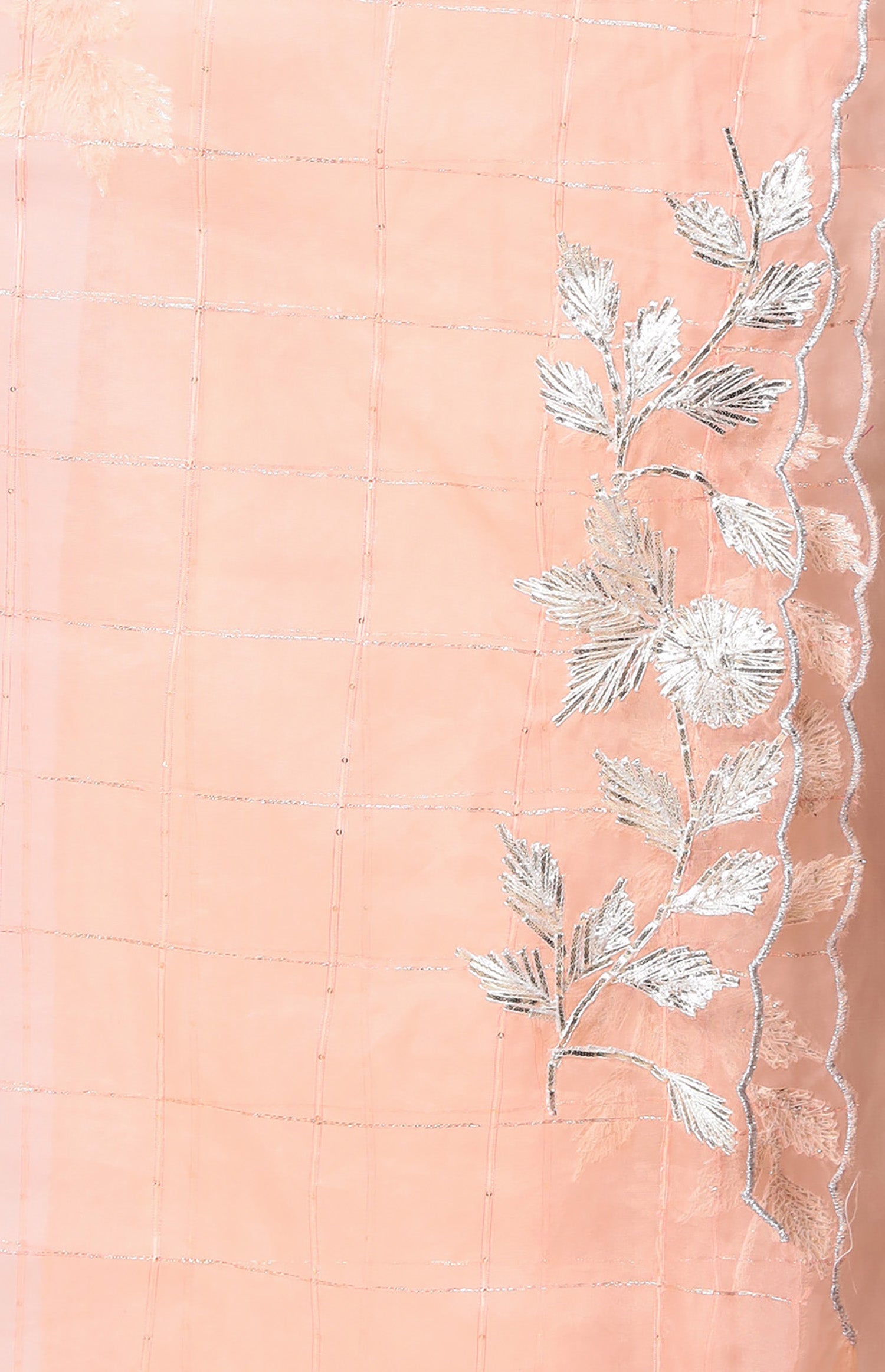 Organza Saree with Gota work.