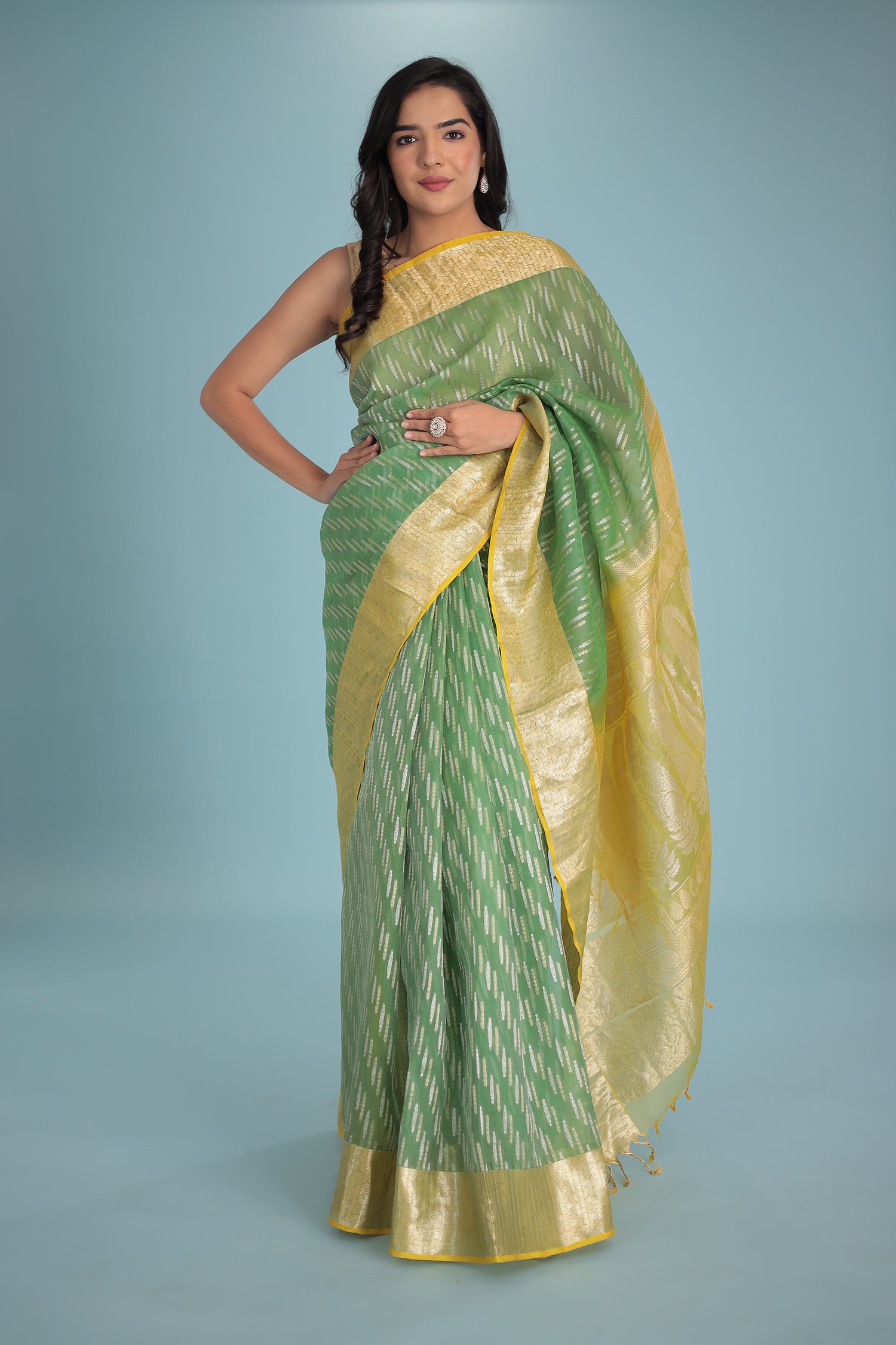 Hand Woven Organza Pure Silk Saree