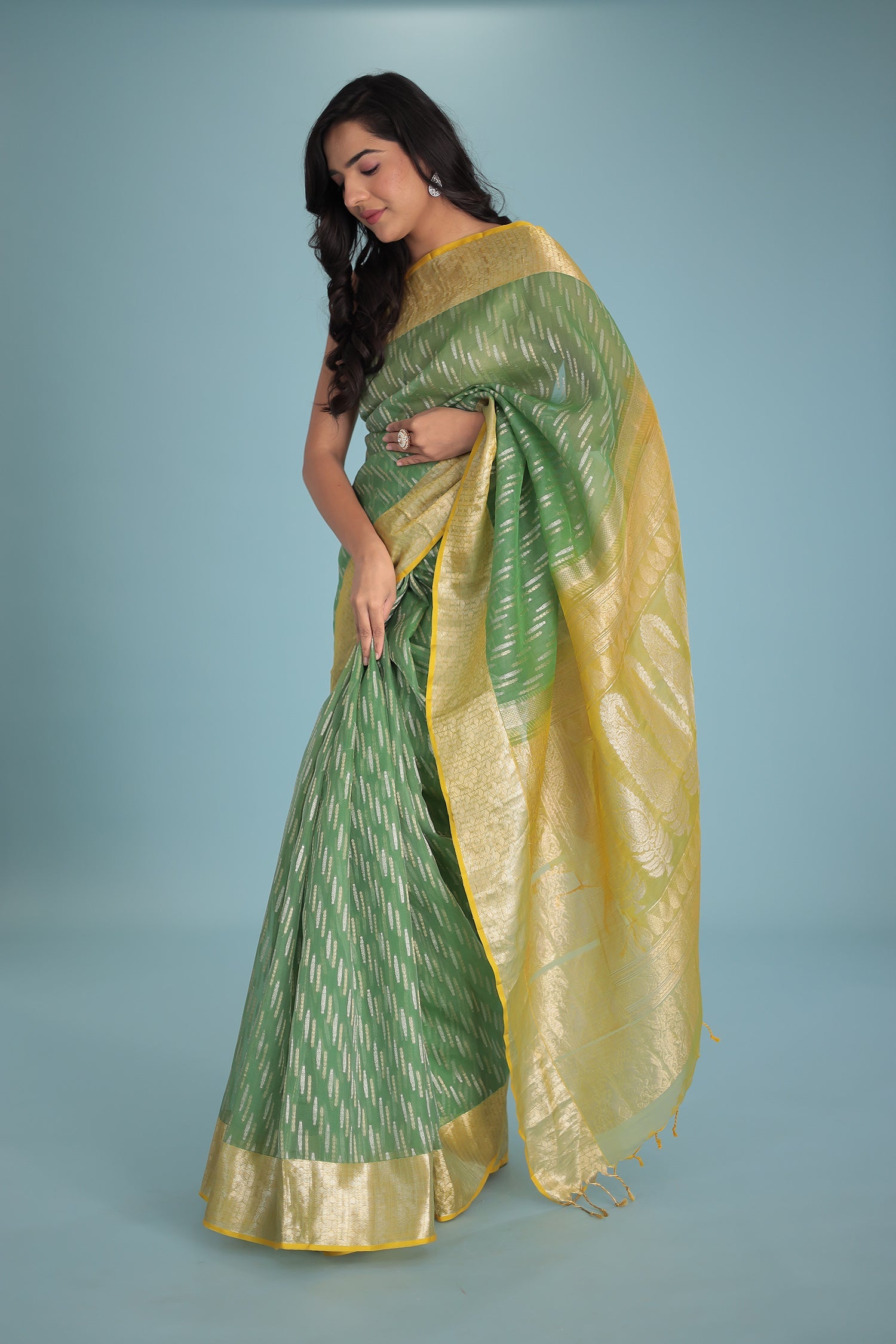 Hand Woven Organza Pure Silk Saree