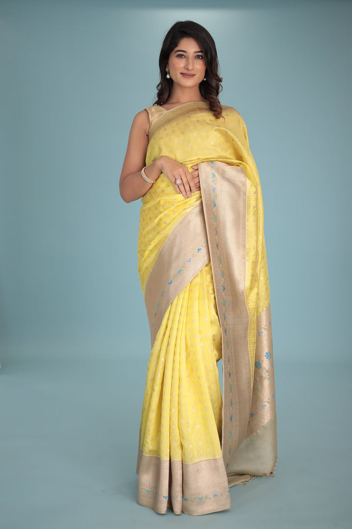 Handloom Pure Silk Saree with Contrast Border