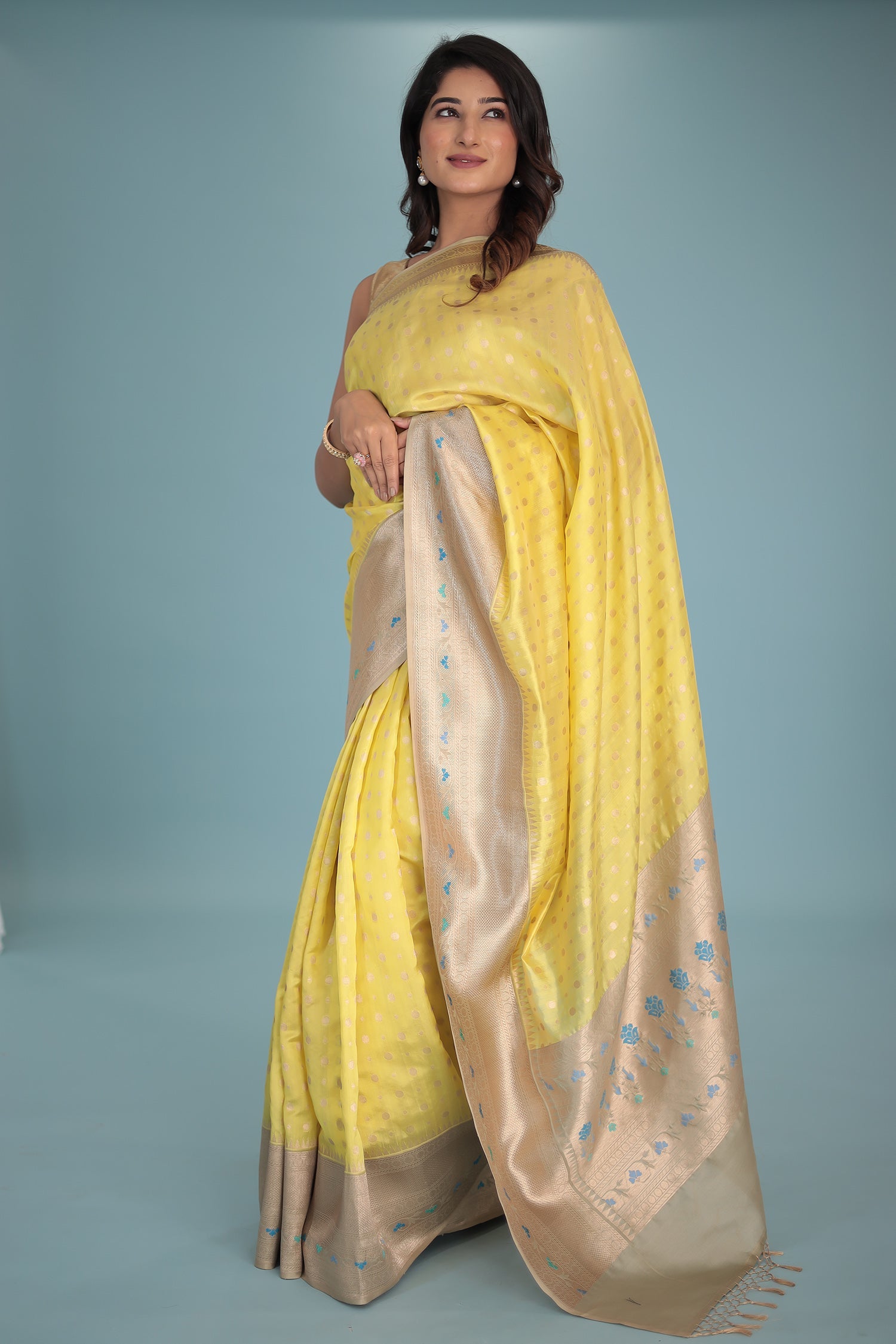 Handloom Pure Silk Saree with Contrast Border