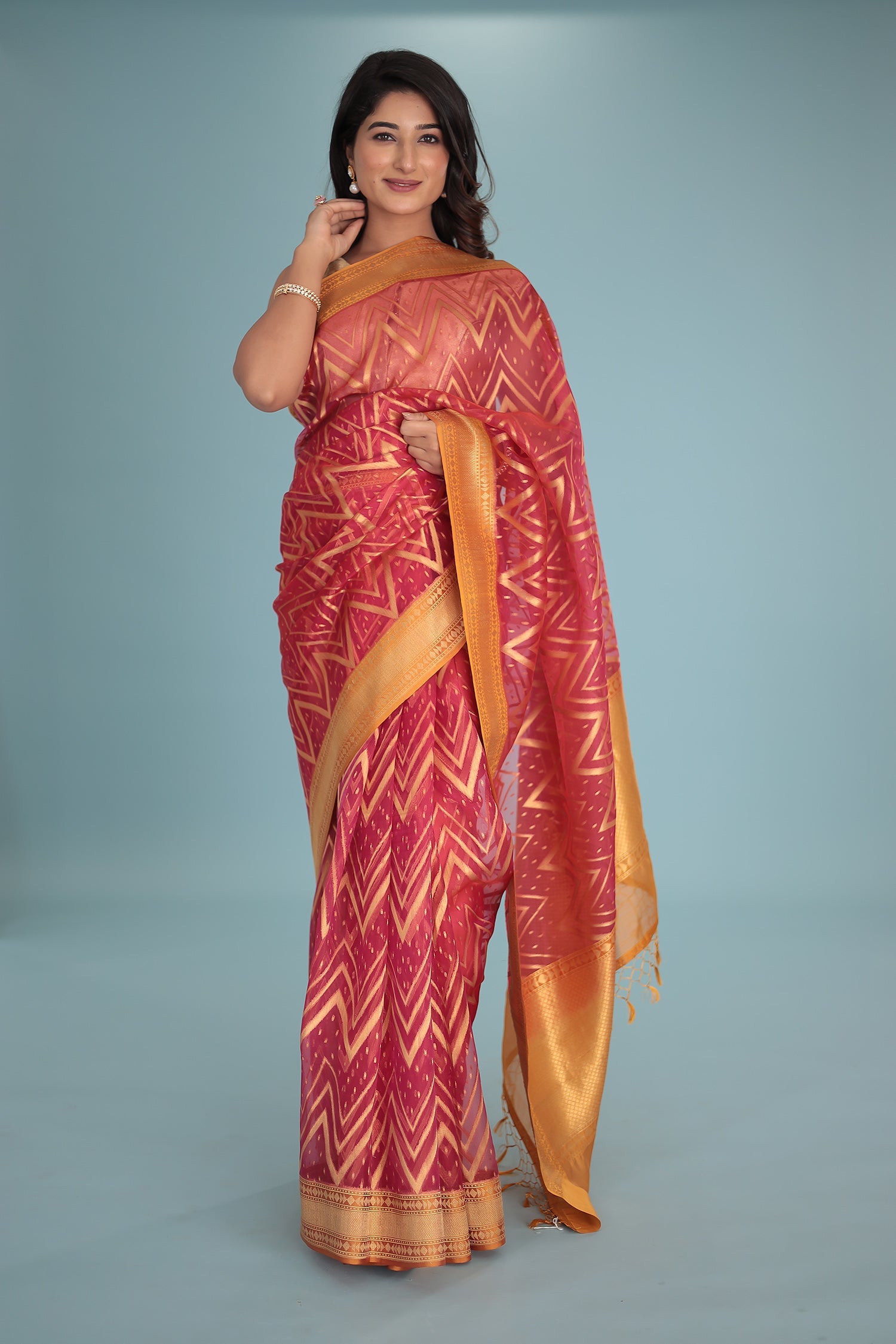 Hand Woven Organza Pure Silk Saree
