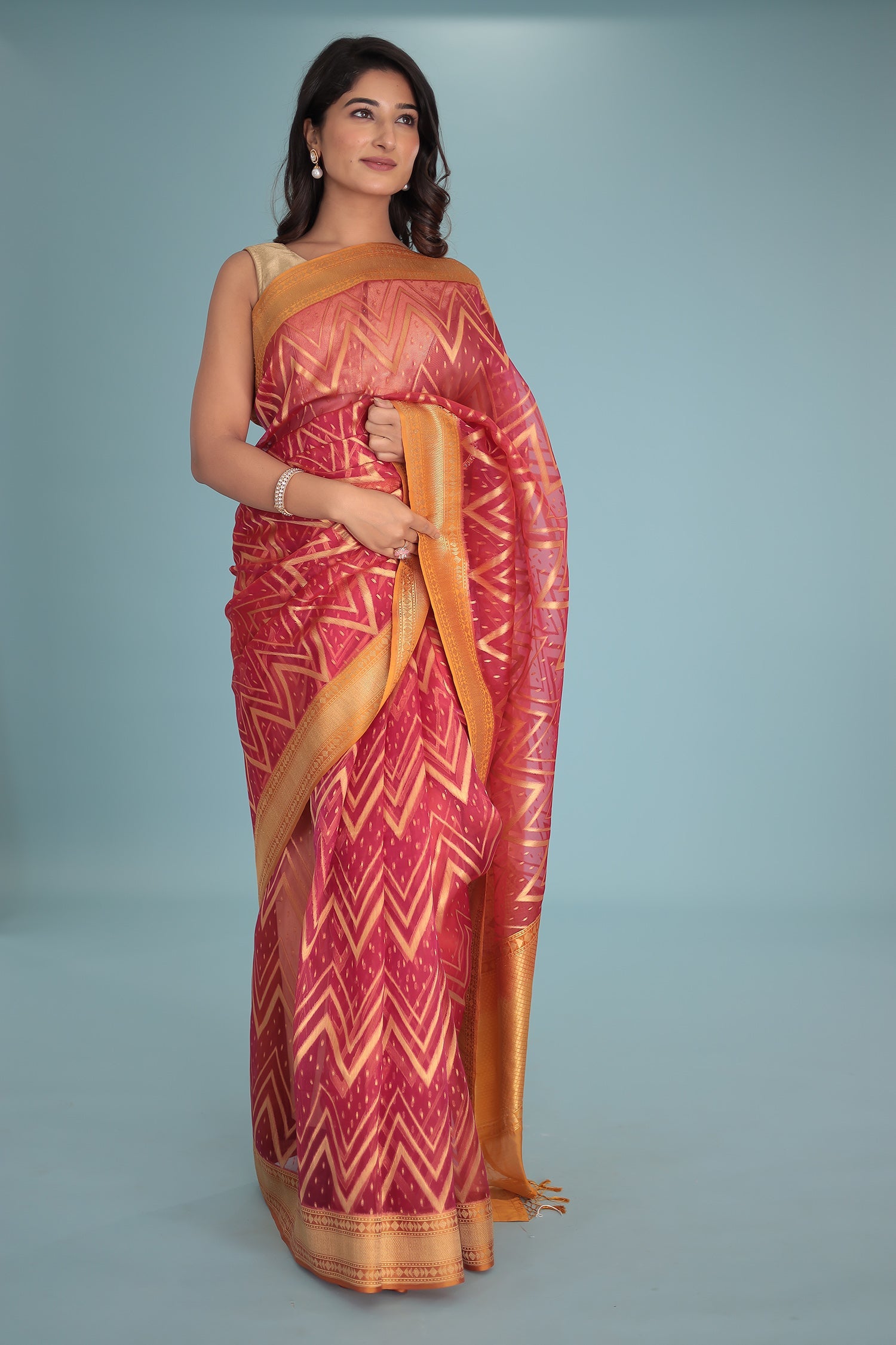 Hand Woven Organza Pure Silk Saree