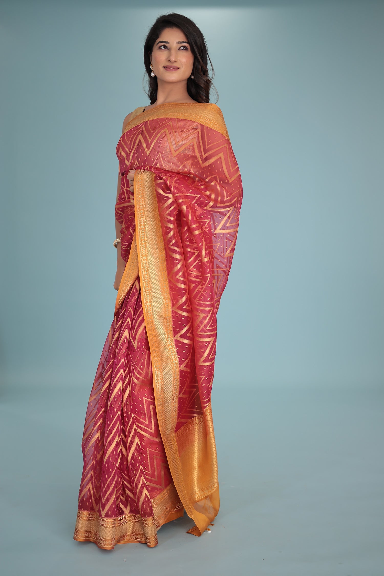 Hand Woven Organza Pure Silk Saree