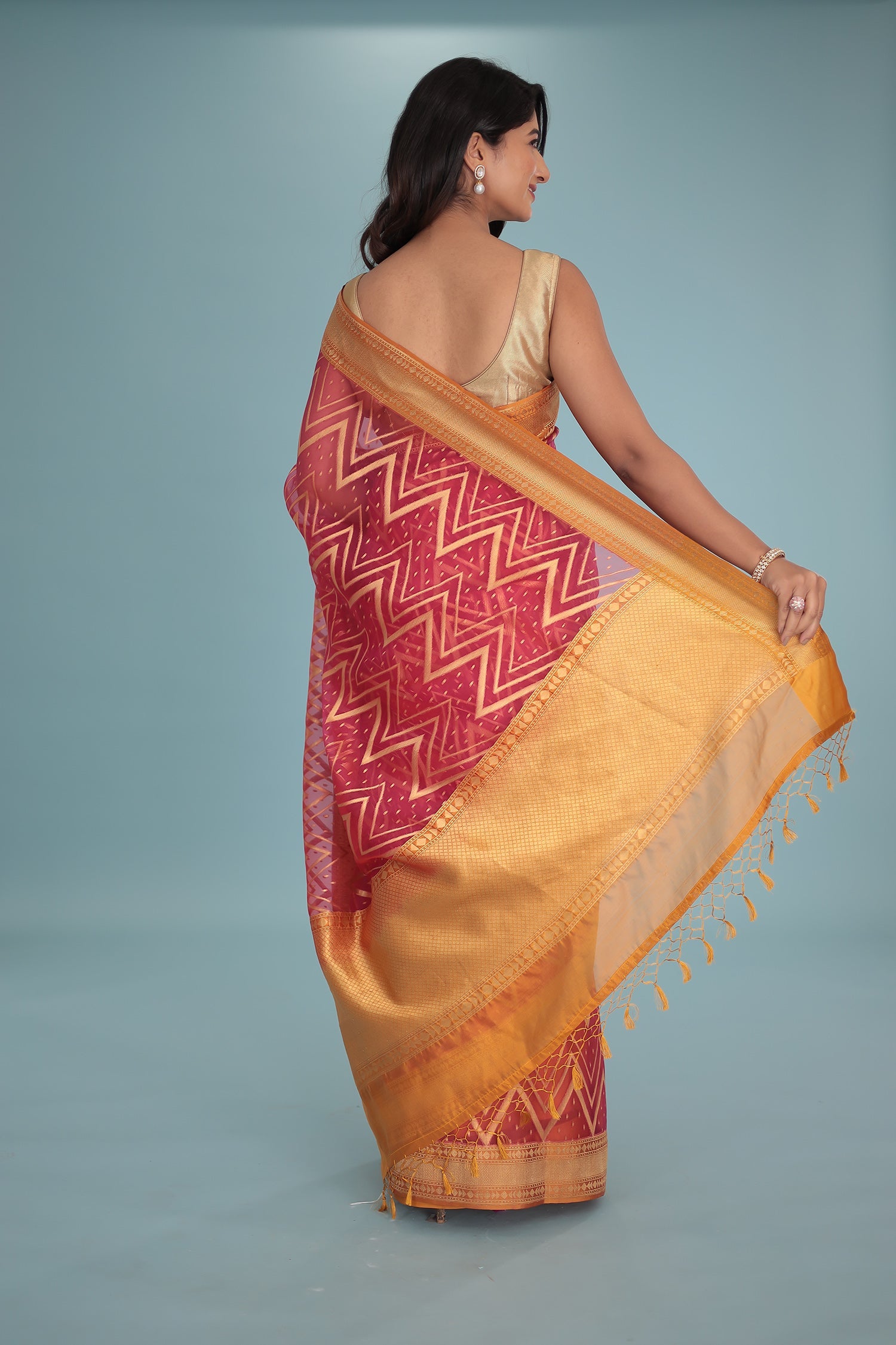 Hand Woven Organza Pure Silk Saree