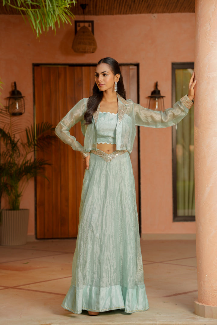 Tissue Indowestern with Dori, Gota Patti work.