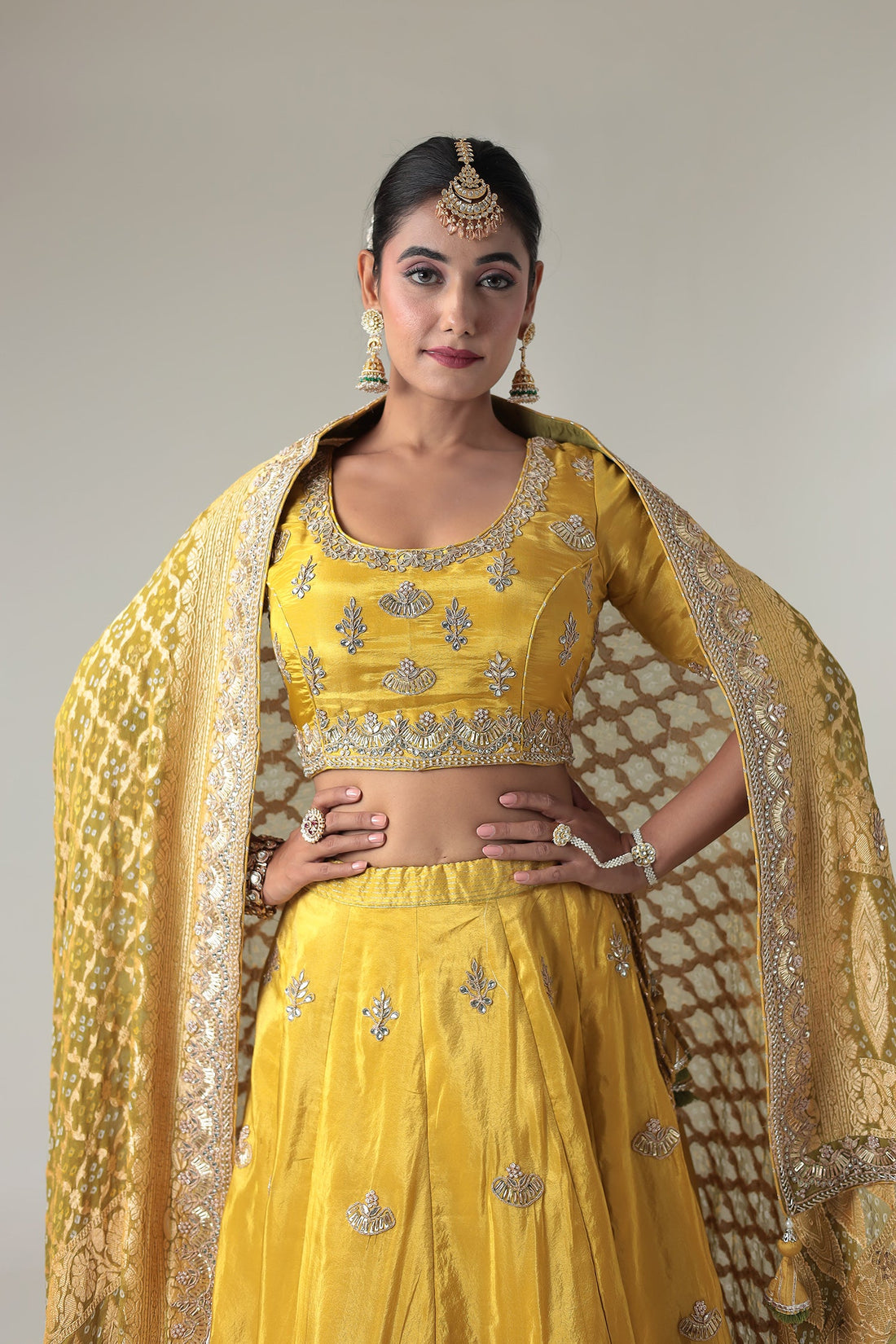 Embellished Silk Lehenga with Contrast Bandhej Dupatta