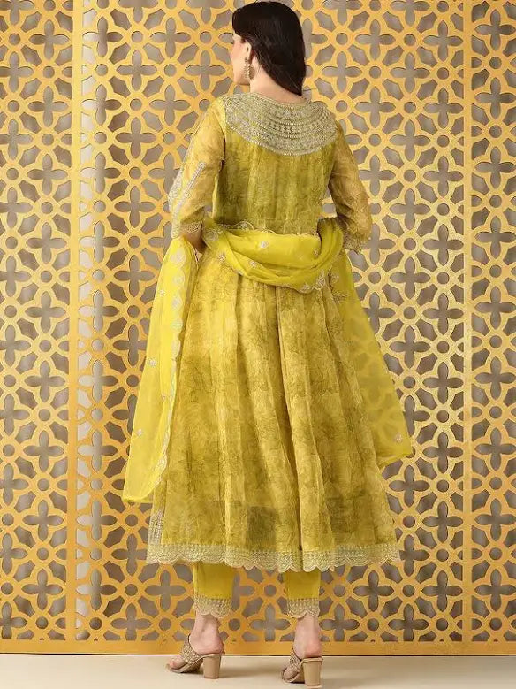 Anarkali Organza Suit with Pittan work