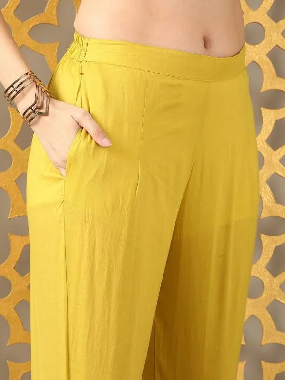 Anarkali Organza Suit with Pittan work