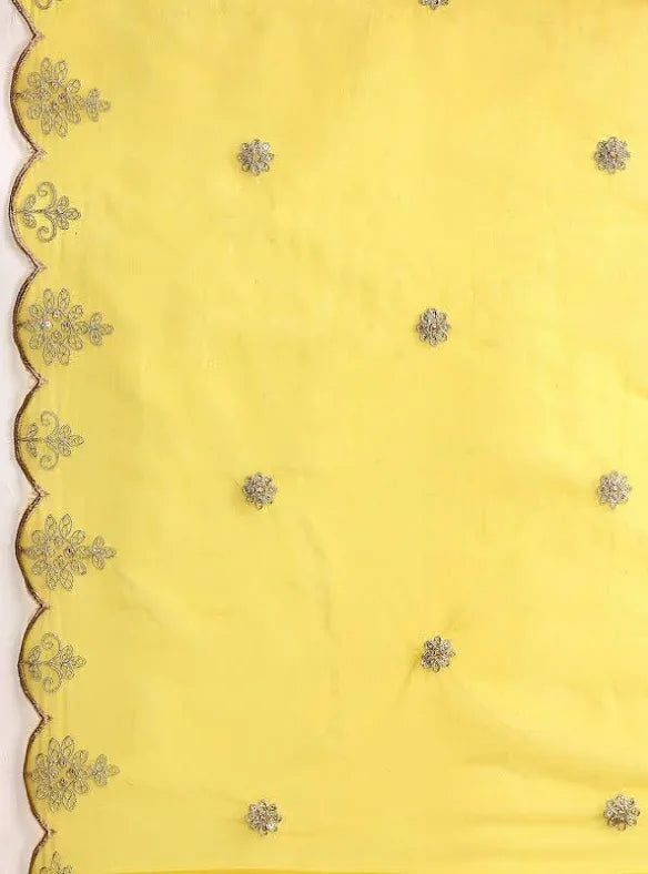 Anarkali Organza Suit with Pittan work