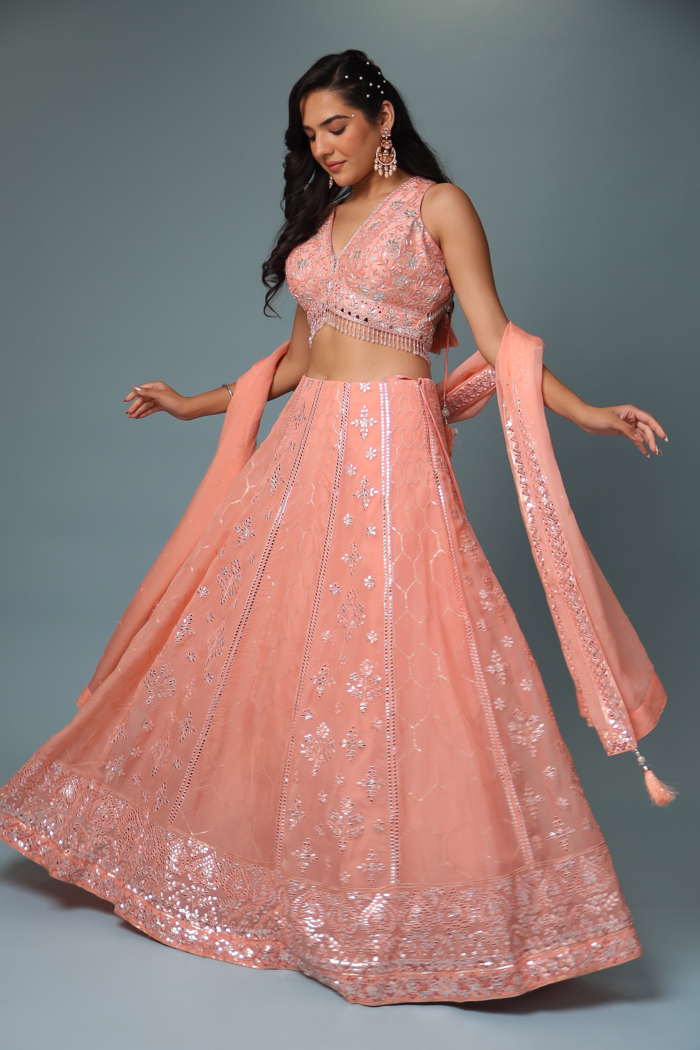 Organza Lehenga with Mirror and Embroidered work.