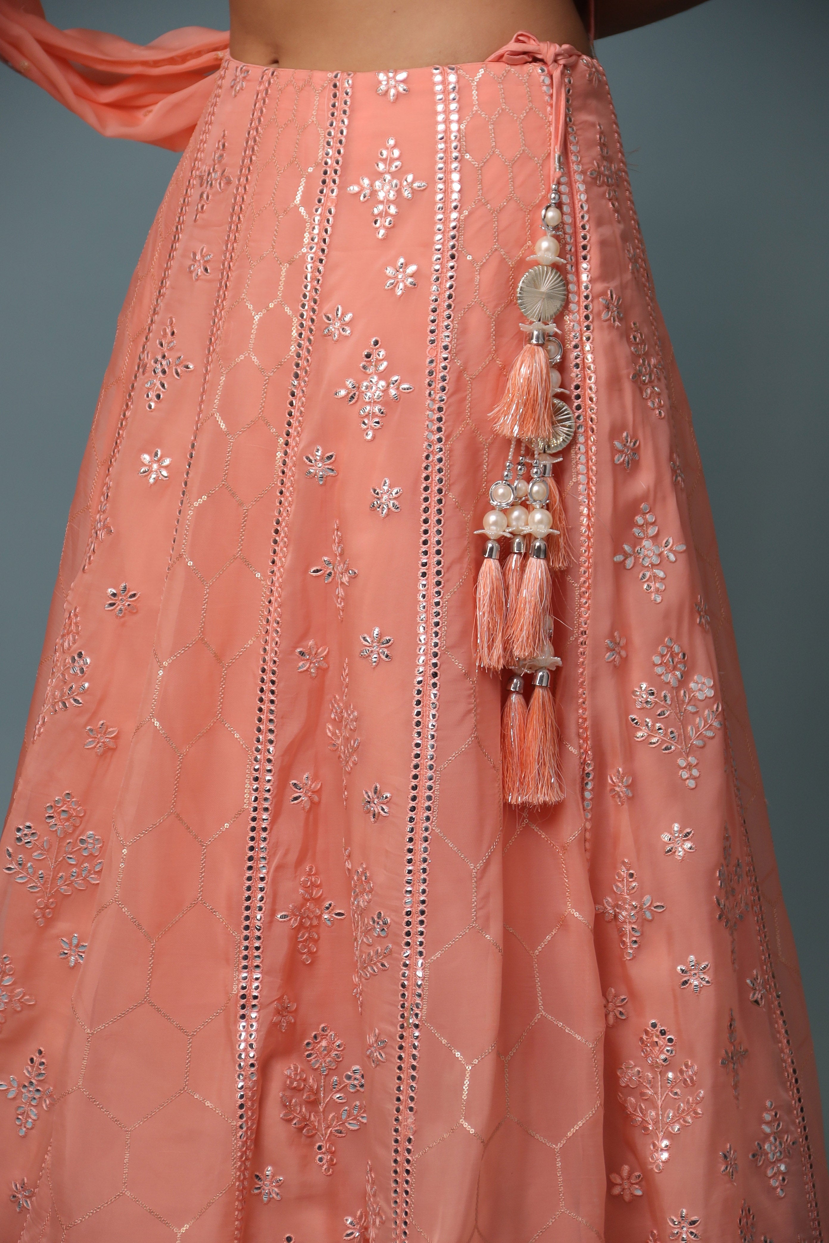Organza Lehenga with Mirror and Embroidered work.