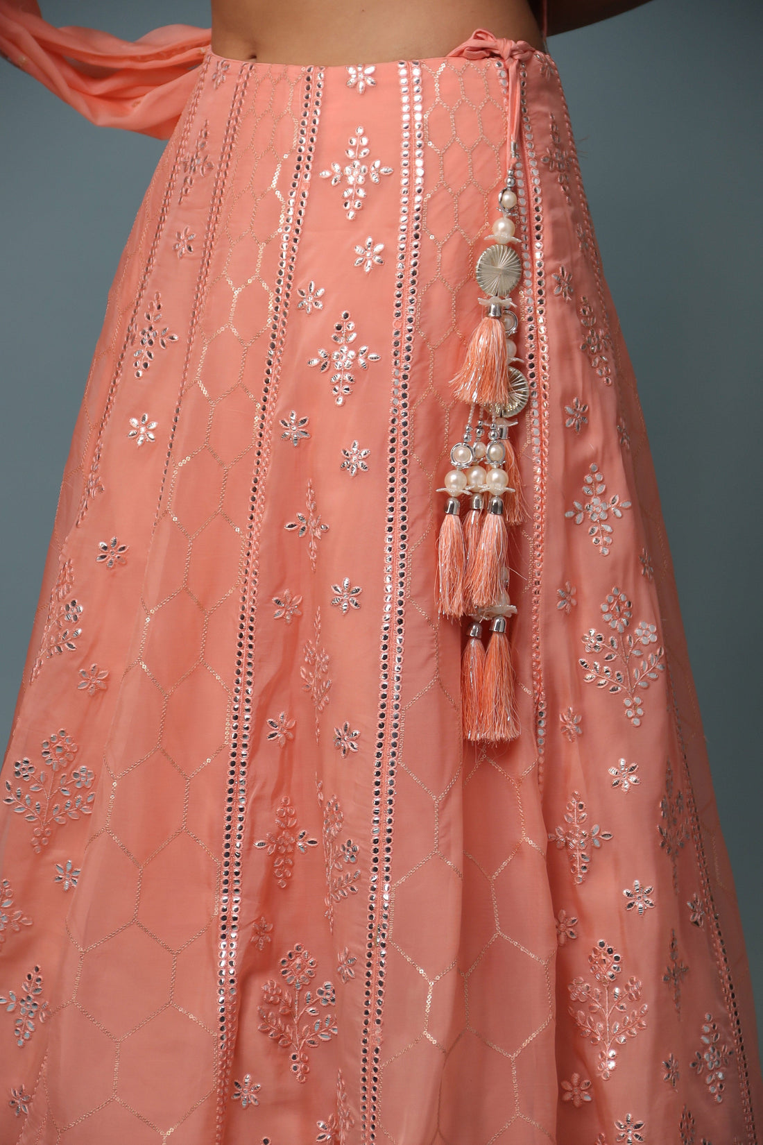 Organza Lehenga with Mirror and Embroidered work.