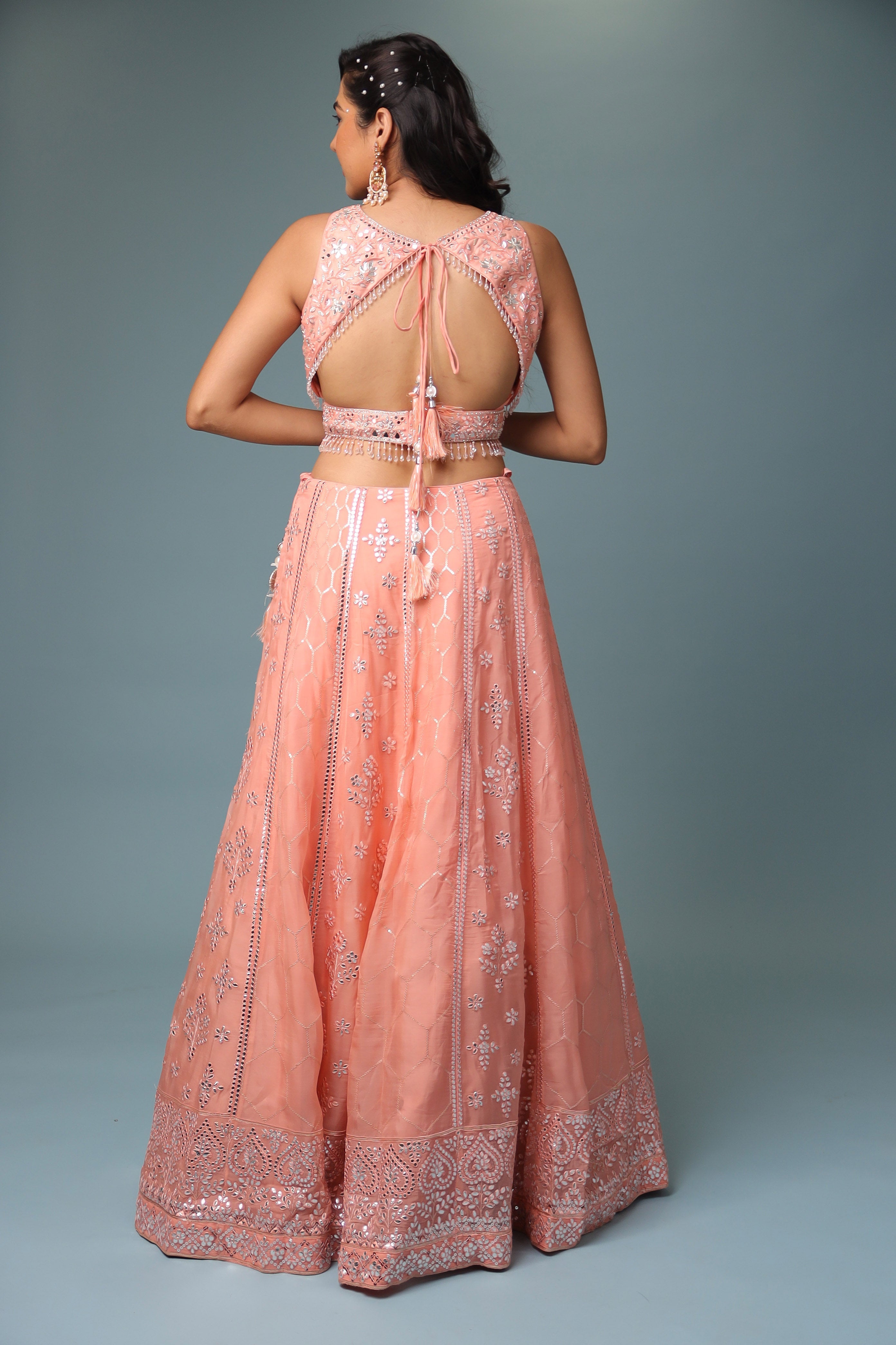 Organza Lehenga with Mirror and Embroidered work.